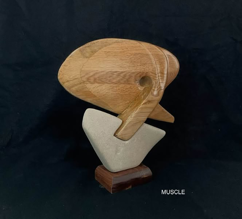  Muscle TableTop Oak Wood